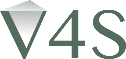 Vision Tetrahedral of Success Model